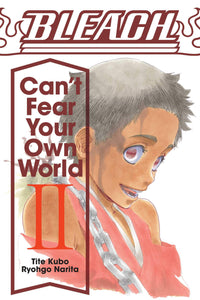 Bleach: Cant Fear Your Own World Light Novel Vol 02