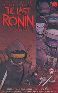 Teenage Mutant Ninja Turtles HC Last Ronin the Covers